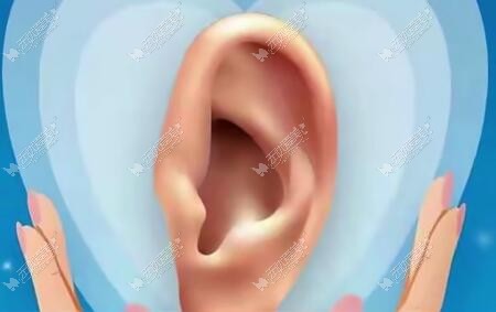 耳再造和真耳朵很像
