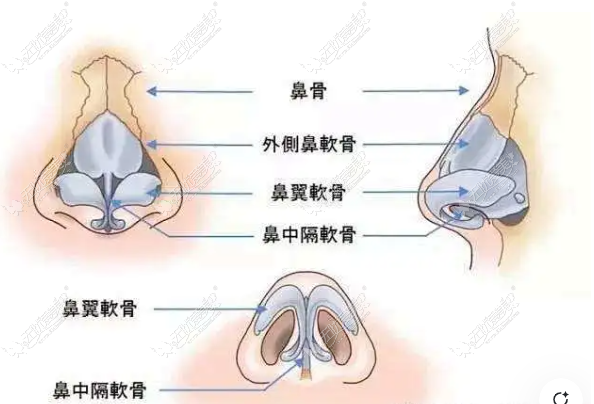 2D74985D86DC449cA7BC54373D29EDB0.png
